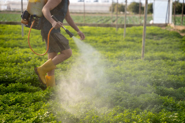 Best Pest Prevention Services  in Northridge, OH