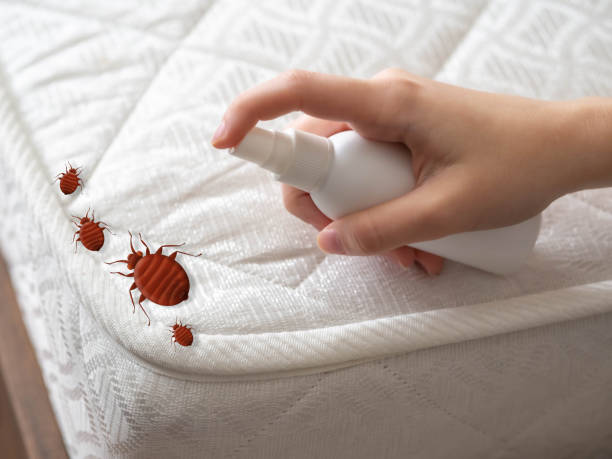 Best Residential Pest Control  in Northridge, OH