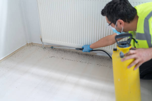 Best Pest Removal Services  in Northridge, OH
